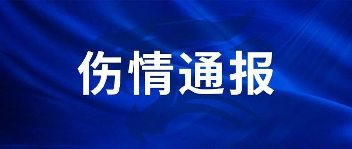 劉奕鳴訓(xùn)練右掌第四掌骨骨折 手術(shù)完成歸期待定