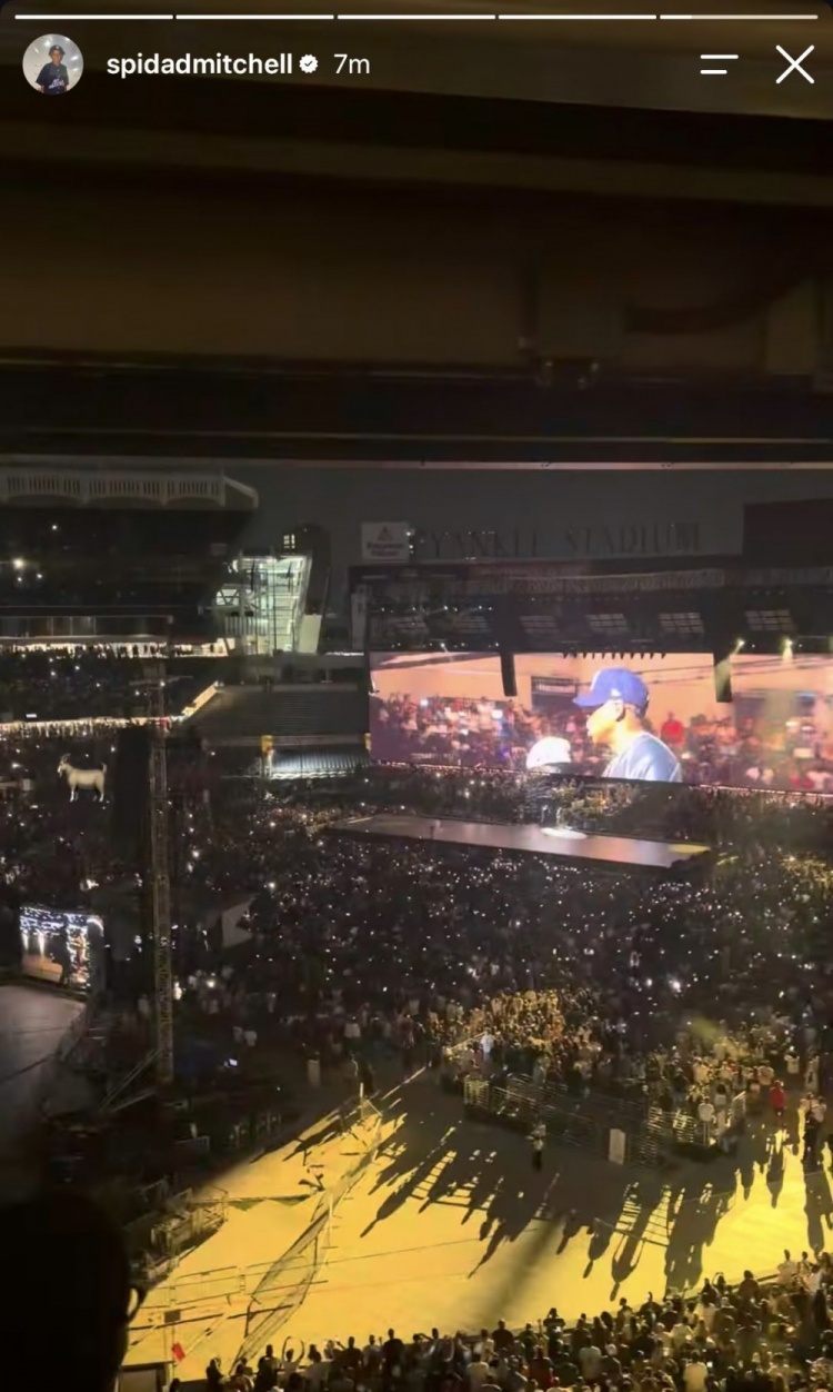 詹姆斯塔圖姆內場VIP，米切爾看臺觀演