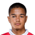 瓦利耶爾