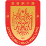 重慶銅梁龍